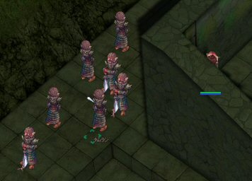 tamuran_mh.jpg