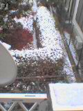 20041229_snow.jpg